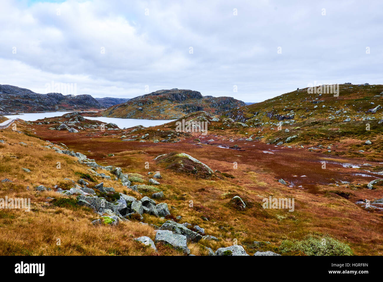 Grass bedeckt offene Ebene in den norwegischen Bergen, mit Felsen aus Granit und ein tarn Stockfoto