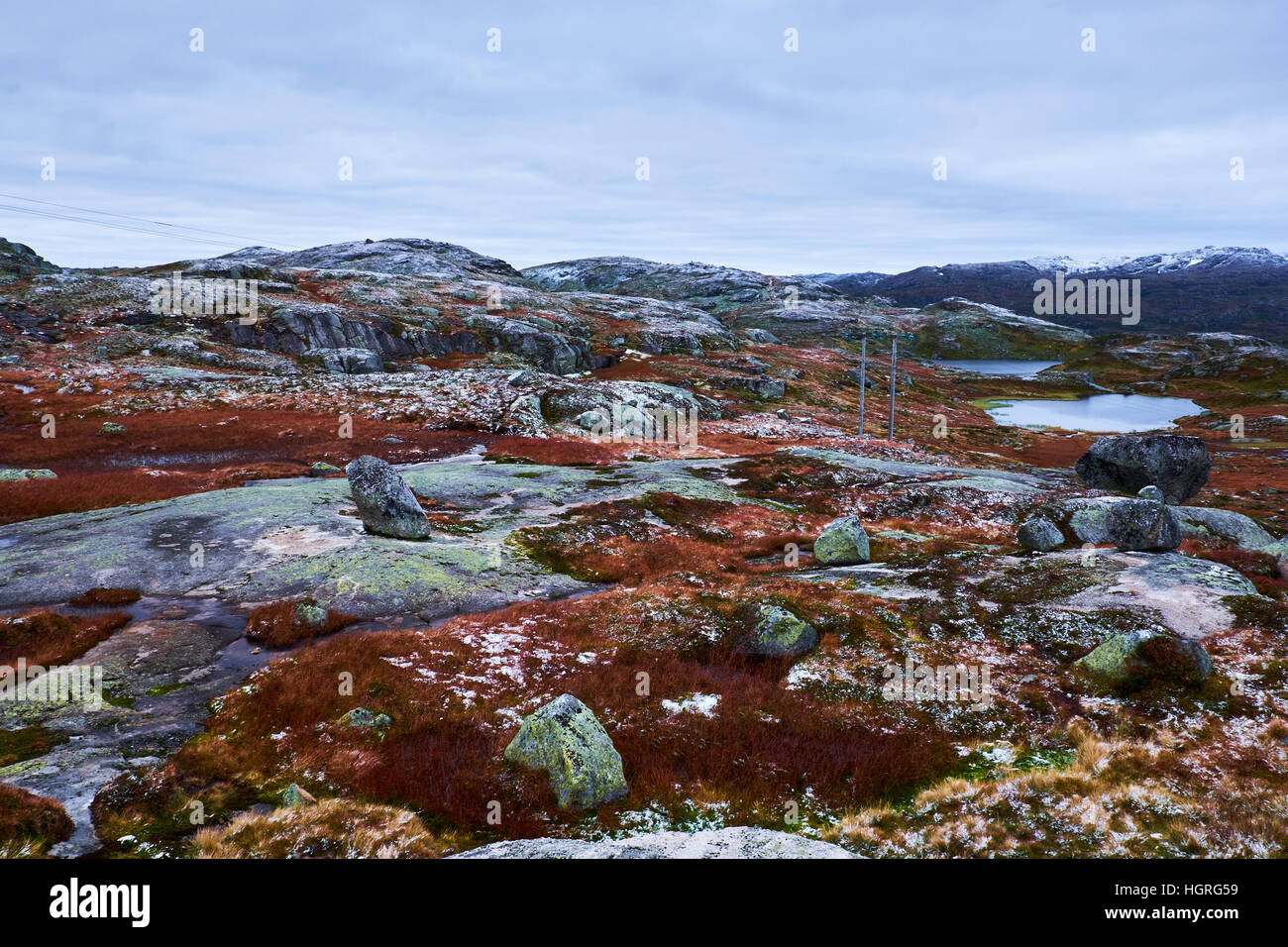 Tiefebene bedeckt im Herbst farbige Grass mit Schnee auf den Bergen in Norwegen Stockfoto