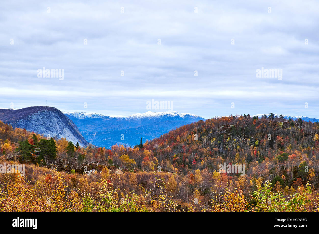 Blick über einen bewaldeten fiel auf einem verschneiten Berggipfel. Herbst in Süd-west-Norwegen Stockfoto