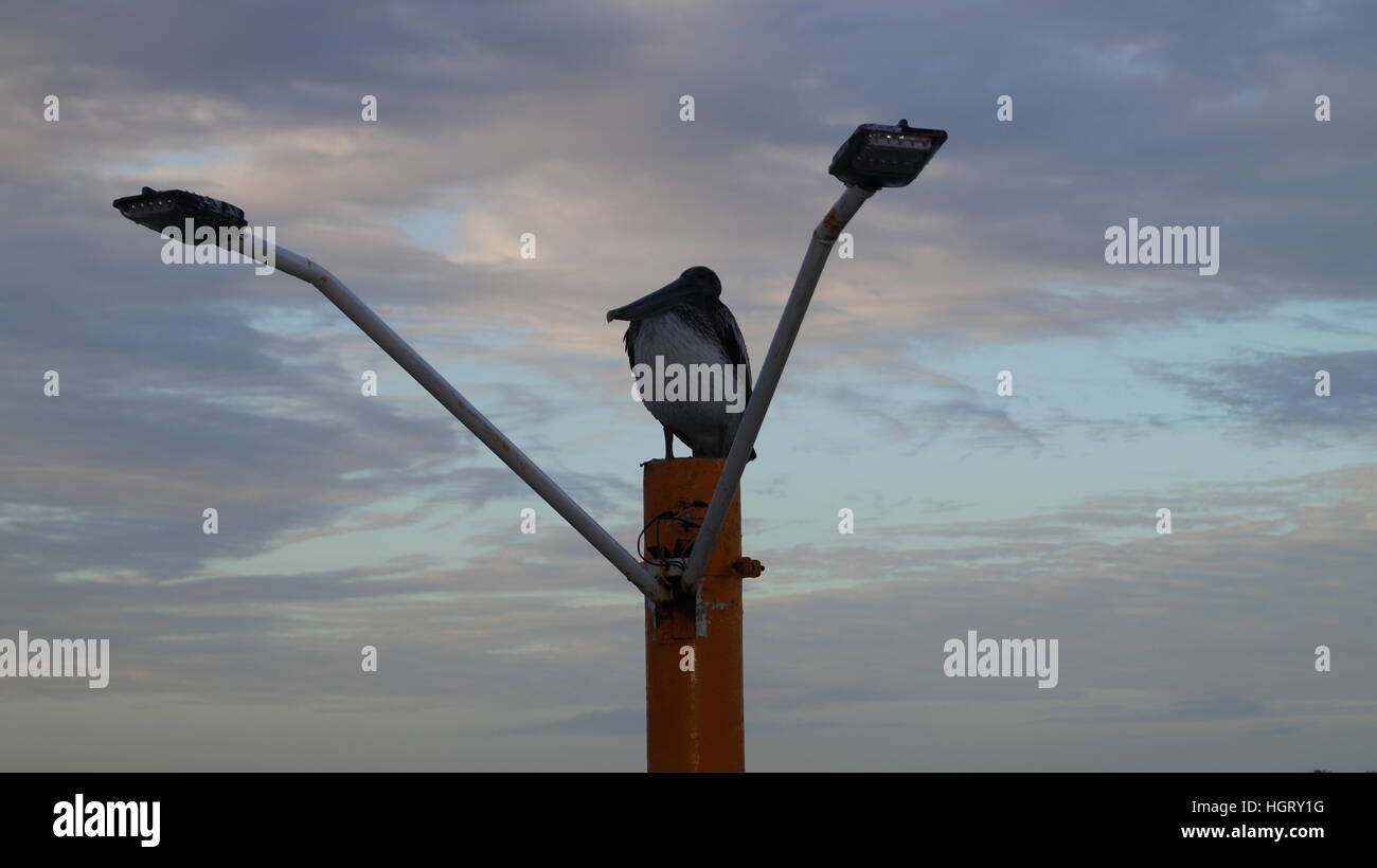 El Amanecer es un Despertar de Nuevos Horizontes Llenos de Esplendor y Nuevas Expectativas. Es Una Nueva Fresca Mañana Llena de Abundancia especial. Stockfoto