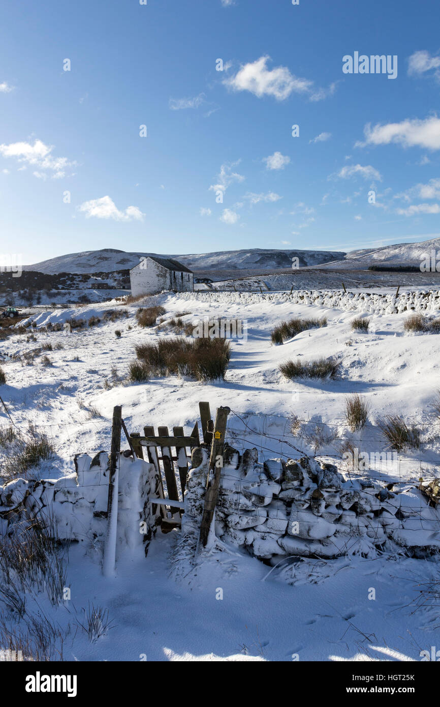 Obere Teesdale, County Durham UK.  Freitag, 13. Januar 2017.  Großbritannien Wetter.  Starke Schneeschauer und starke Winde führten zu driften in ländlichen Gebieten von Grafschaft Durham. © David Forster/Alamy Live-Nachrichten Stockfoto