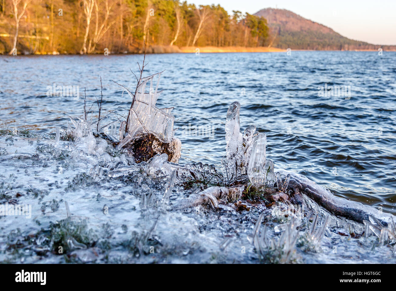 eisiger Wind erstellt Eis Statuen von grass Stockfoto