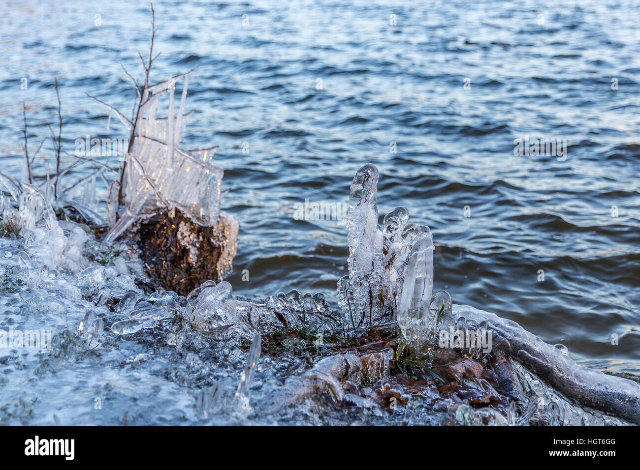 eisiger Wind erstellt Eis Statuen von grass Stockfoto
