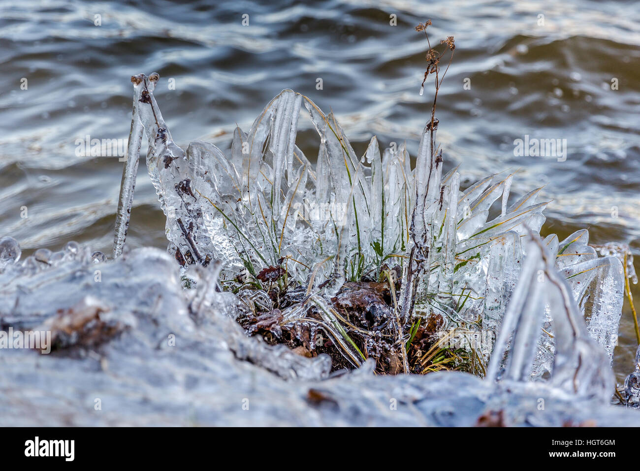 eisiger Wind erstellt Eis Statuen von grass Stockfoto