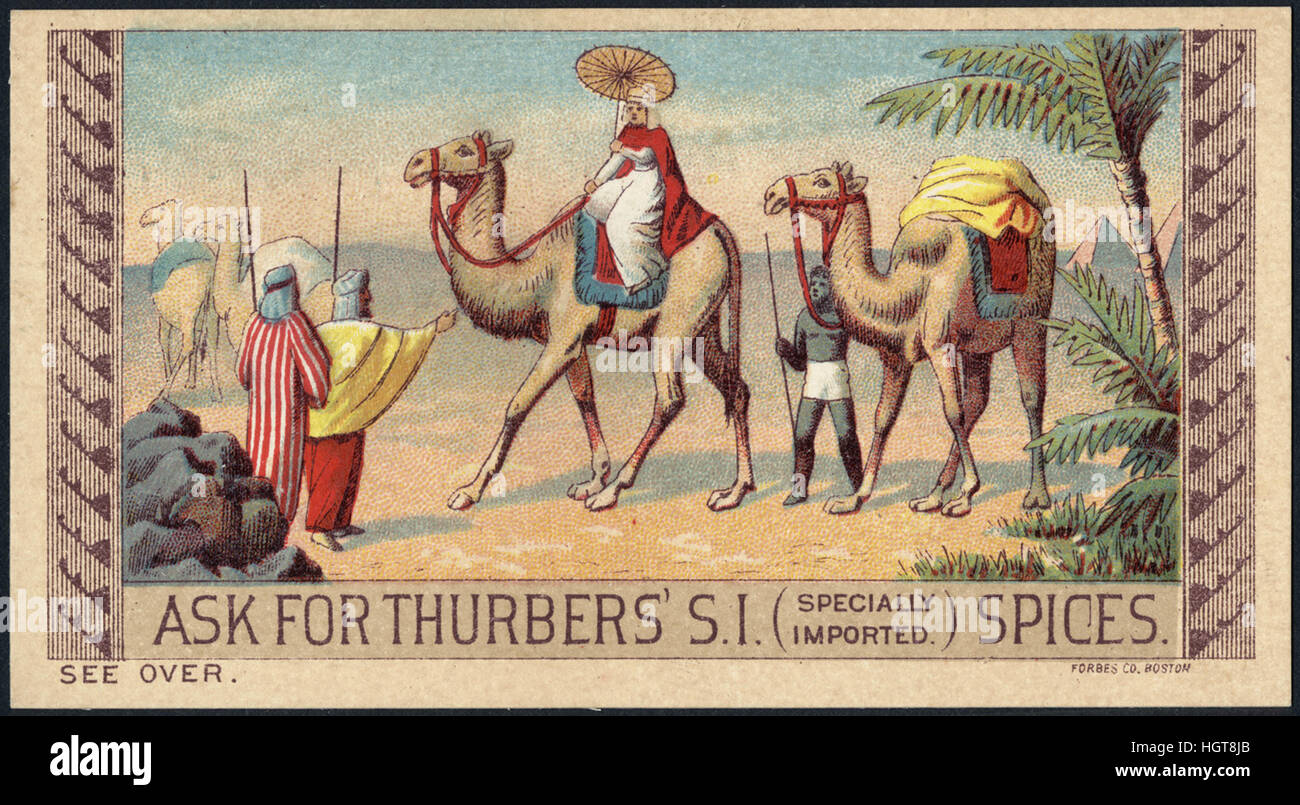 Fragen Sie nach Thurbers' S. I. (speziell importiert) Gewürze [Front] - Lebensmittel-Handel-Karte Stockfoto