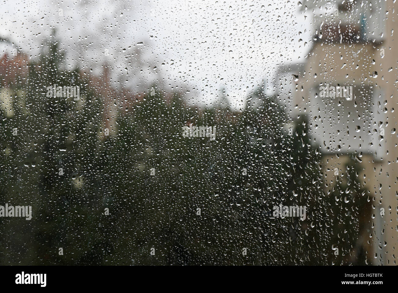 Regentropfen am Fenster Stockfoto