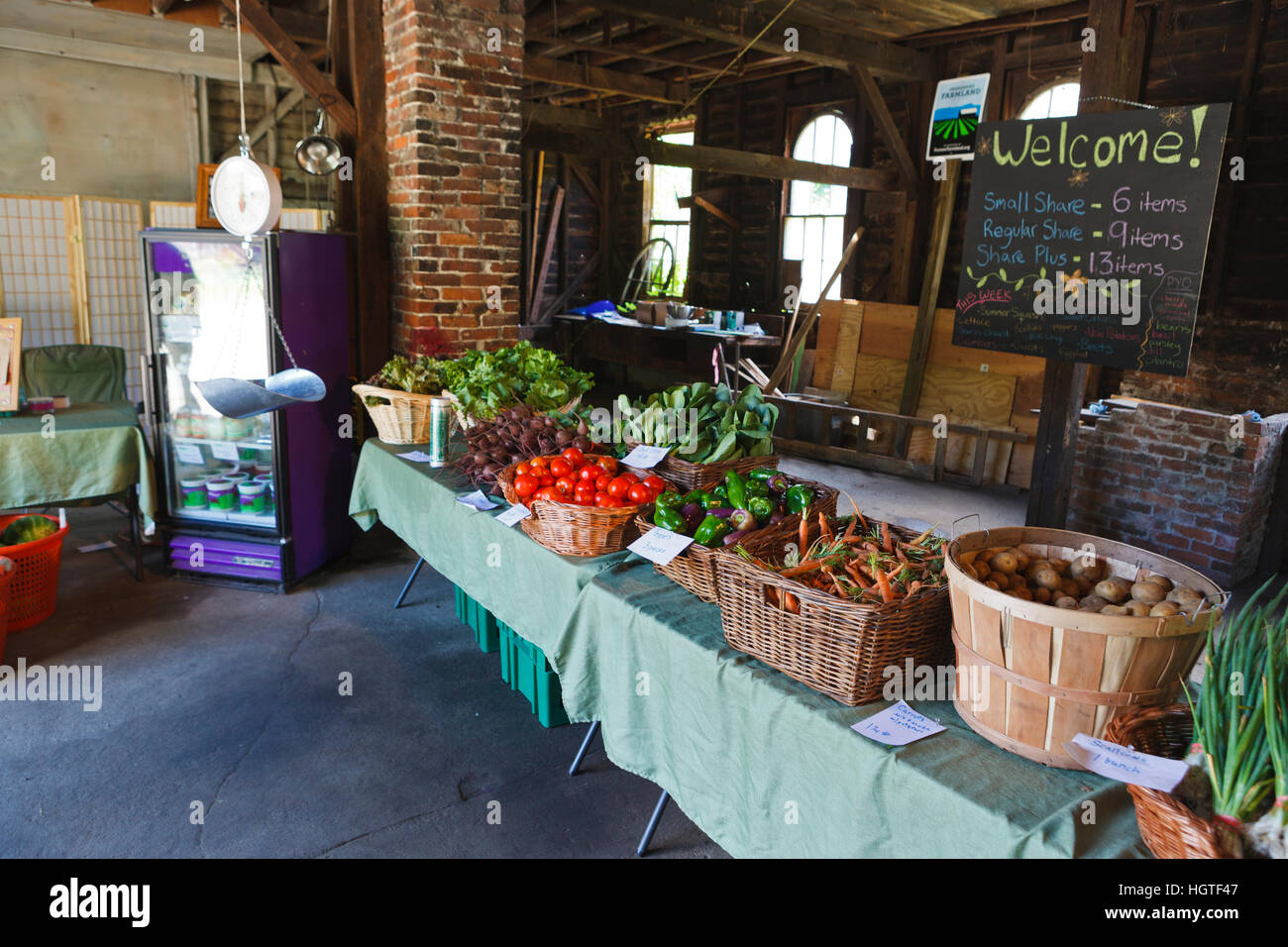 Die Community Supported Agriculture (CSA) Abholung im Crimson und Klee Farm in Northampton, Massachusetts. Stockfoto