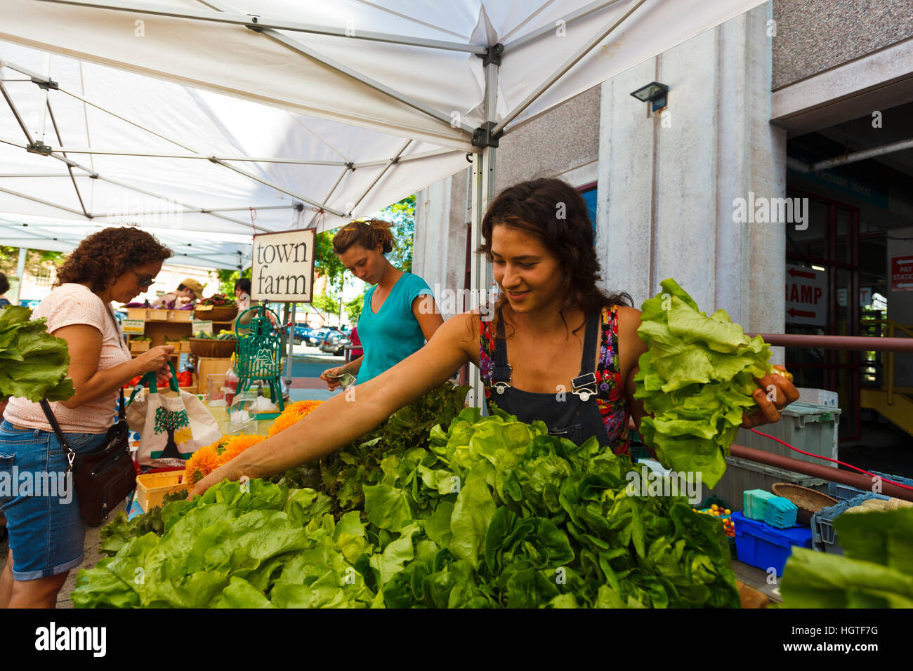 Arbeiten Sie Mia Valentini (rechts) und Morgan Brown (Mitte), die Stadt Hof stand am Dienstag Markt Bauernmarkt in Northampton, Massachusetts. Stockfoto