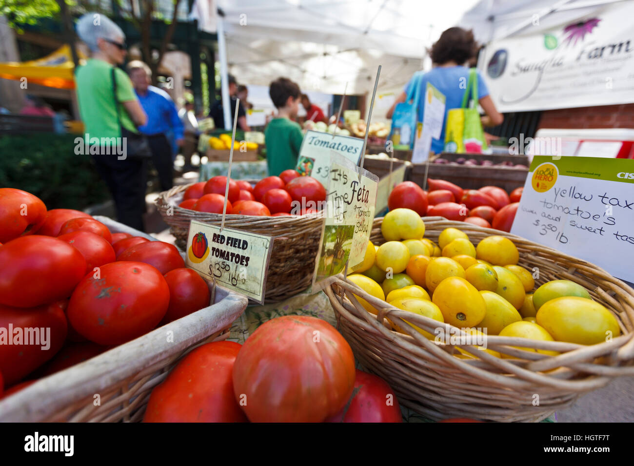 Frische Tomaten an Derek Ritchies Sangha Bauernhof Stand am Dienstag Markt Bauernmarkt in Northampton, Massachusetts. Stockfoto