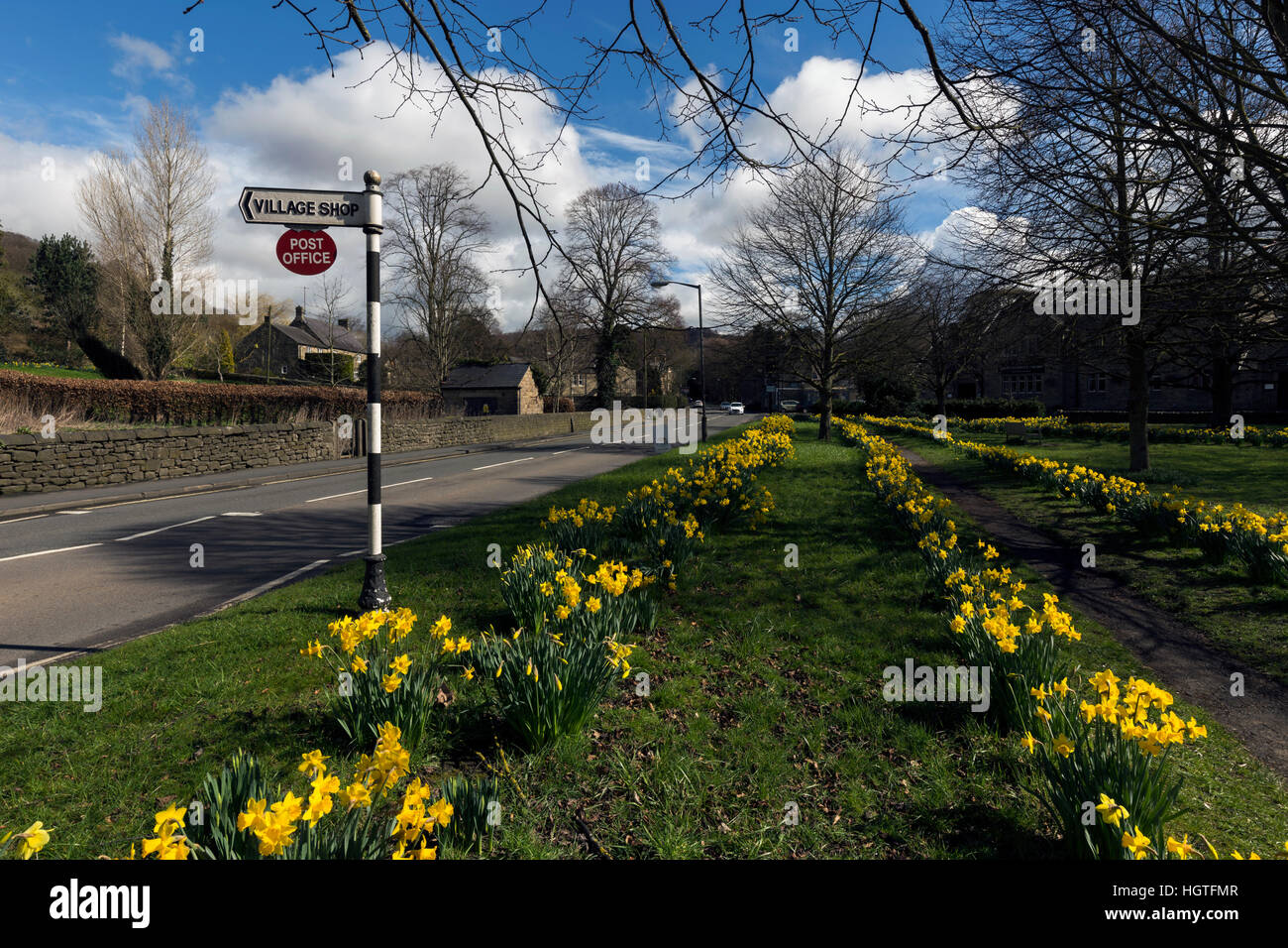 Narzissen auf Anzeigen frühe Zeichen der englischen Landschaft Frühling Stockfoto