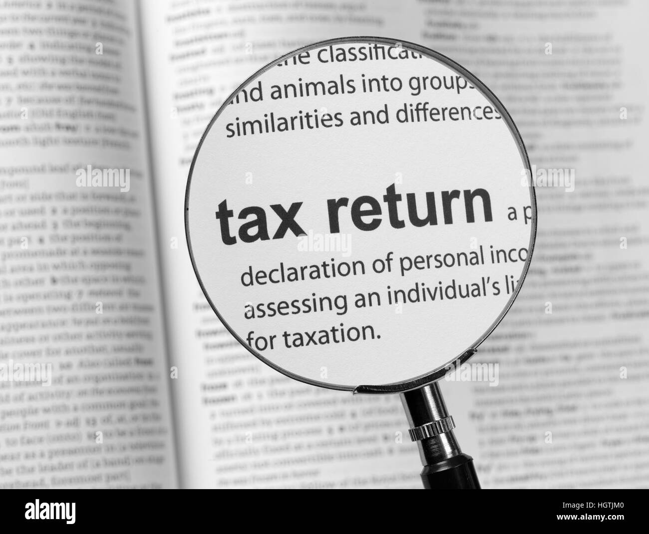 Wörterbuch, die Hervorhebung der Steuererklärung Stockfoto