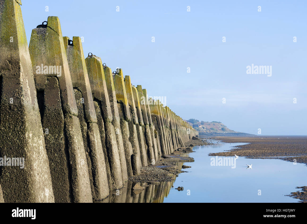 Cramond island ebbe Fotos und Bildmaterial in hoher Auflösung Alamy