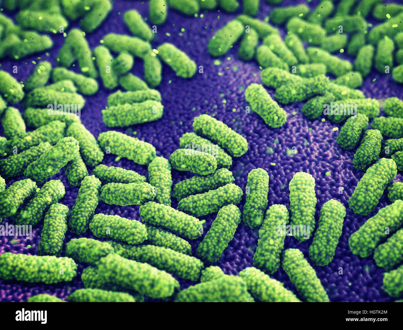 Bakterien, Keime Infektion, epidemische Krankheit Stockfoto