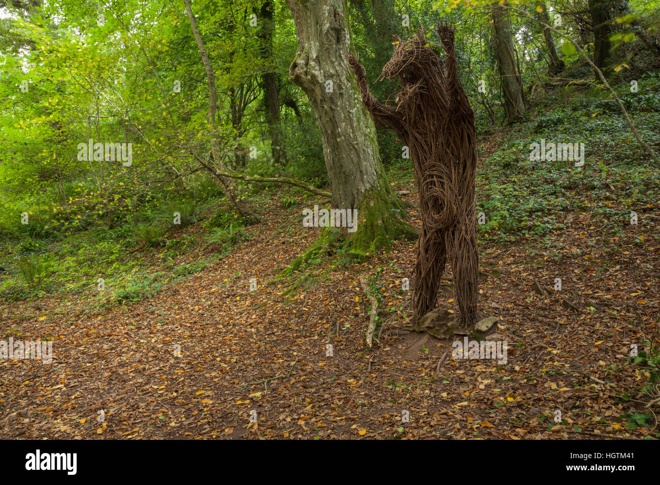 Der Bär Weide Skulptur innerhalb Ebbor Gorge Nature Reserve in der Nähe von Wells, Somerset, England Stockfoto