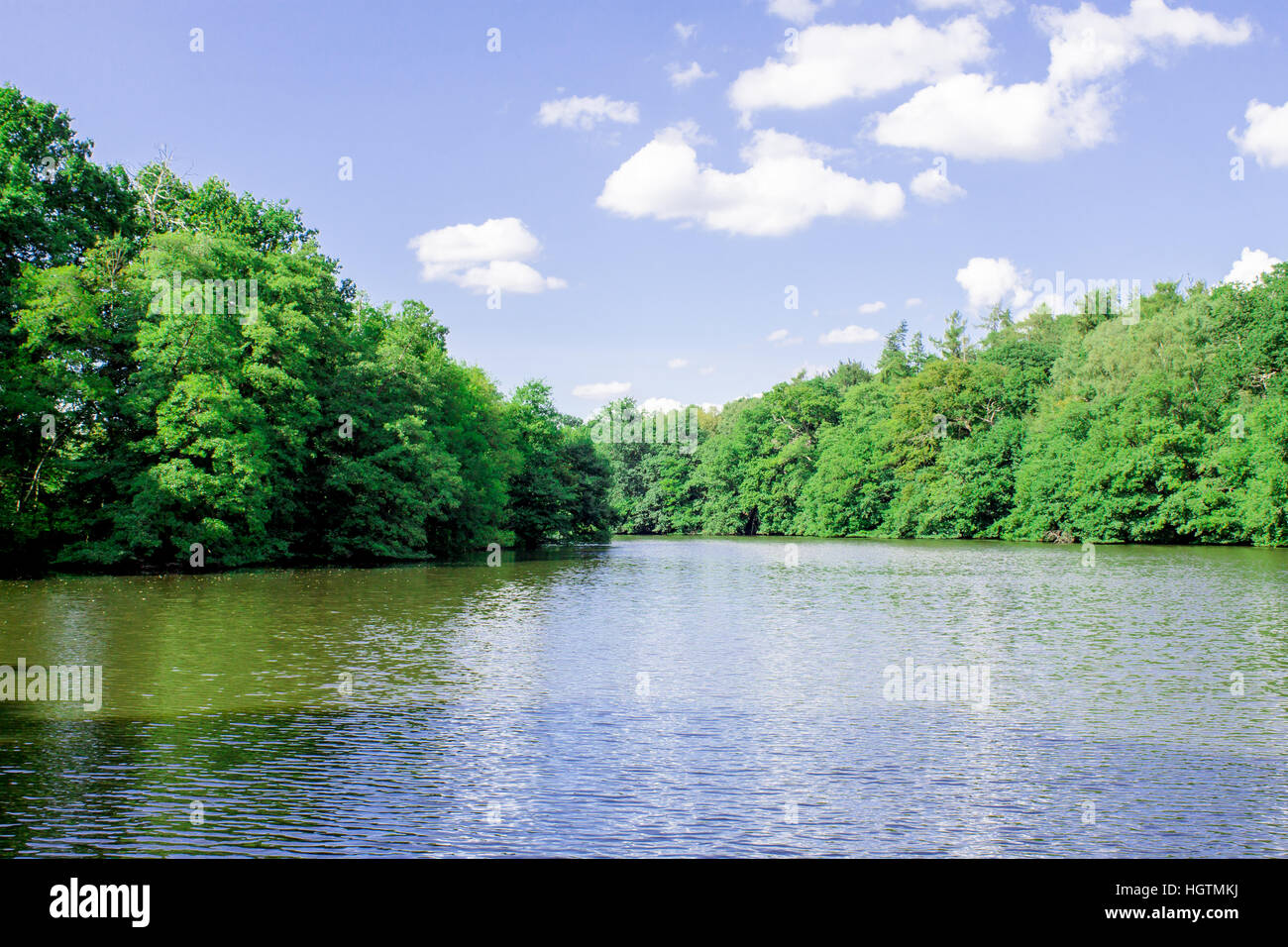 Herrliche Aussicht auf Virginia Wasser See im Windsor Great Park in Windsor Stockfoto