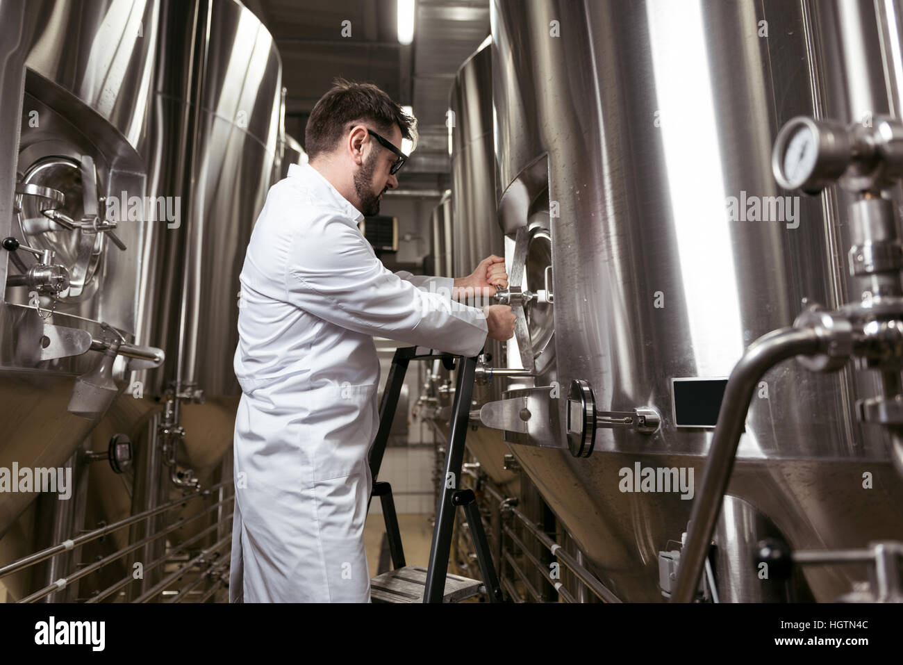 Konzentrierte Mann mit Leiter in Brauerei Stockfoto