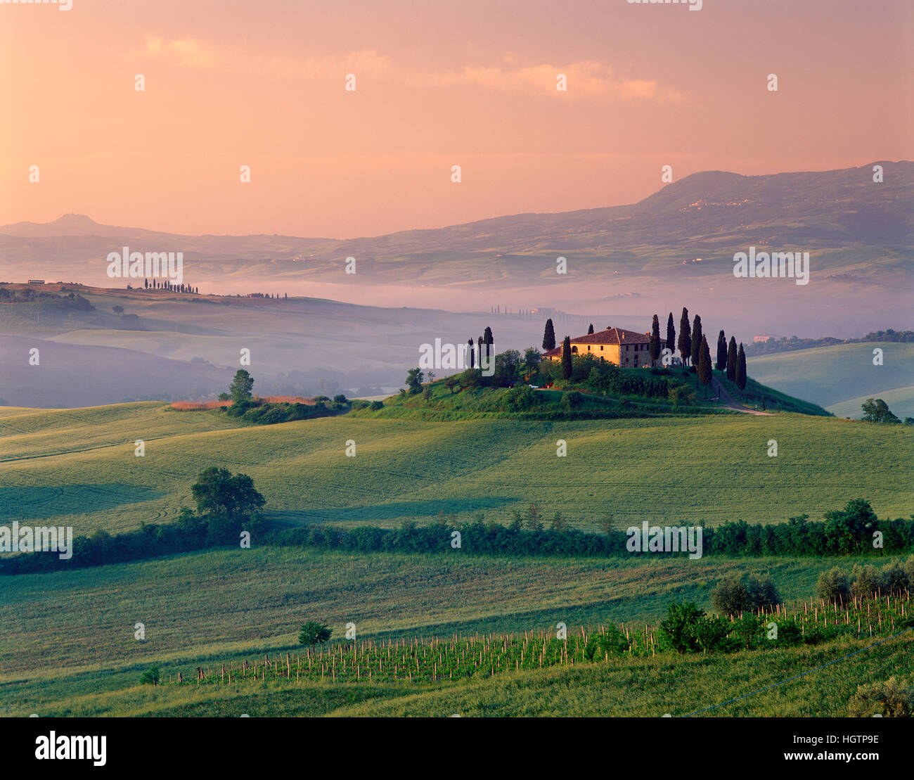 Val d ' Orcia in der Morgendämmerung, in der Nähe von San Quirico, Toskana, Italien Stockfoto