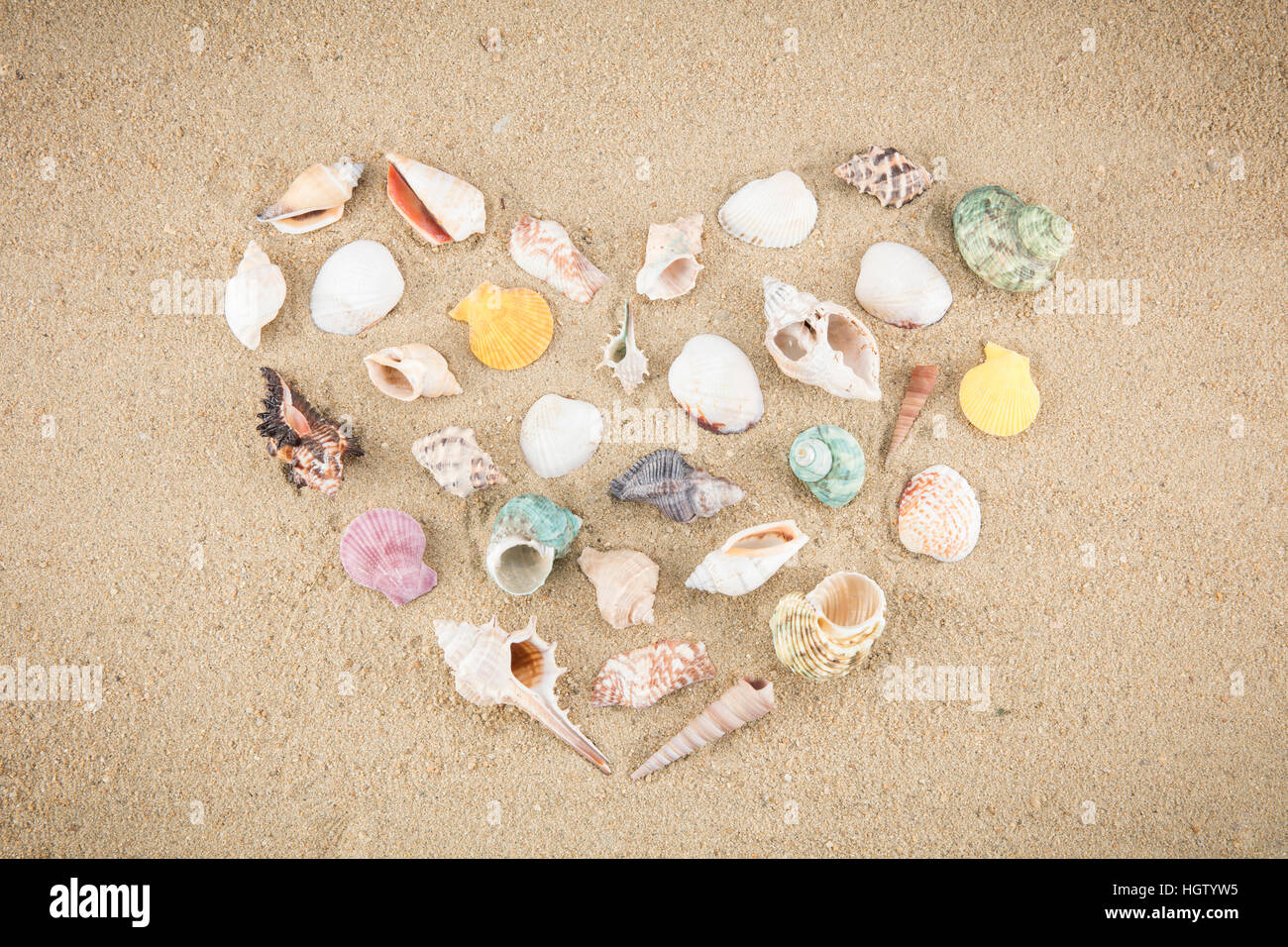 Muscheln am Strand für Sommerurlaub Stockfoto