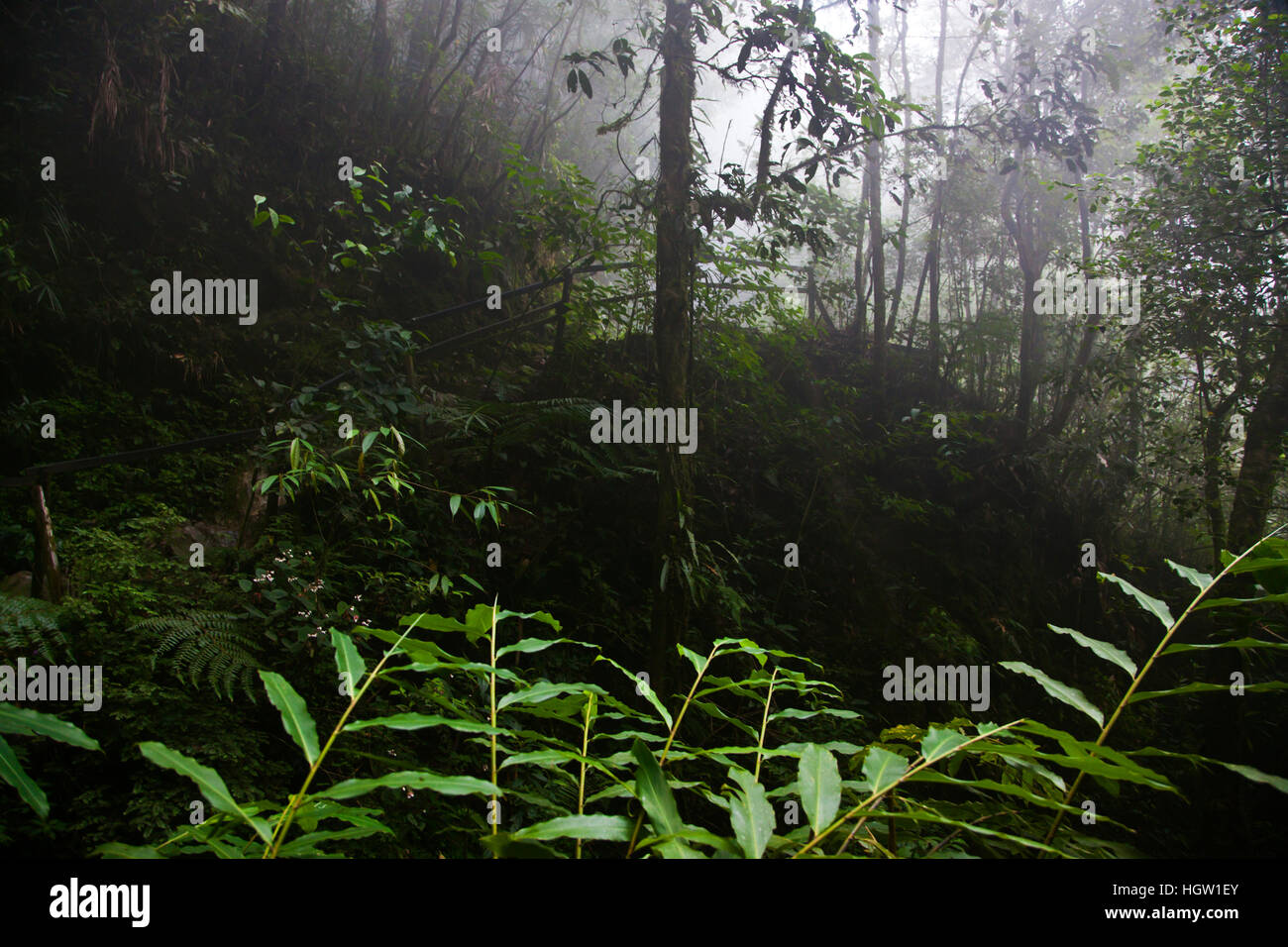 Der Weg zum Mount Kinabalu Meter 4095 hoch, die zum Weltkulturerbe und einer der ersten Nationalparks, Sabah, Borneo Malaysia ist Stockfoto