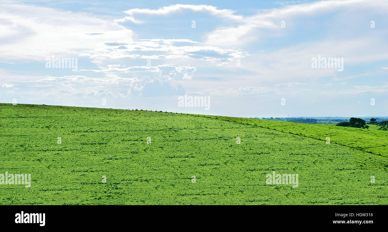 Green Hill am sonnigen Himmel Sommertag Stockfoto