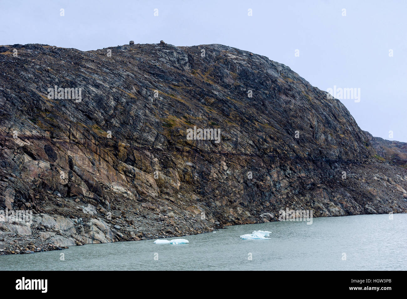 Gauge Noten in einer Felswand und Küste, wo ein zurückweichenden Gletscher den Felsen abgekocht hat. Stockfoto
