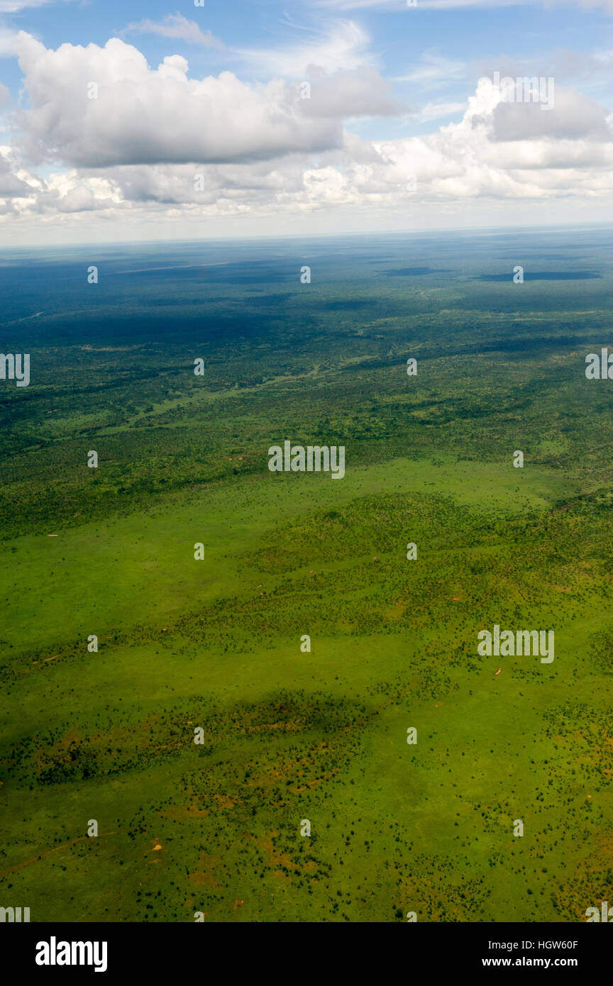 Eine Luftaufnahme von einem üppigen Savannah schlicht. Stockfoto