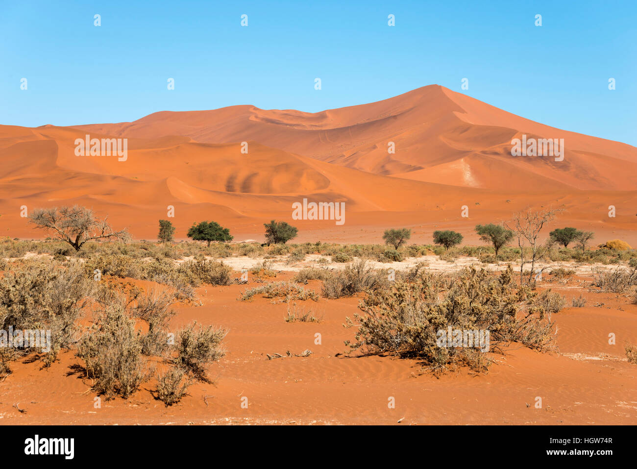 Sanddünen, Namib-Naukluft-Park, Namib-Wüste, Namibia Stockfoto