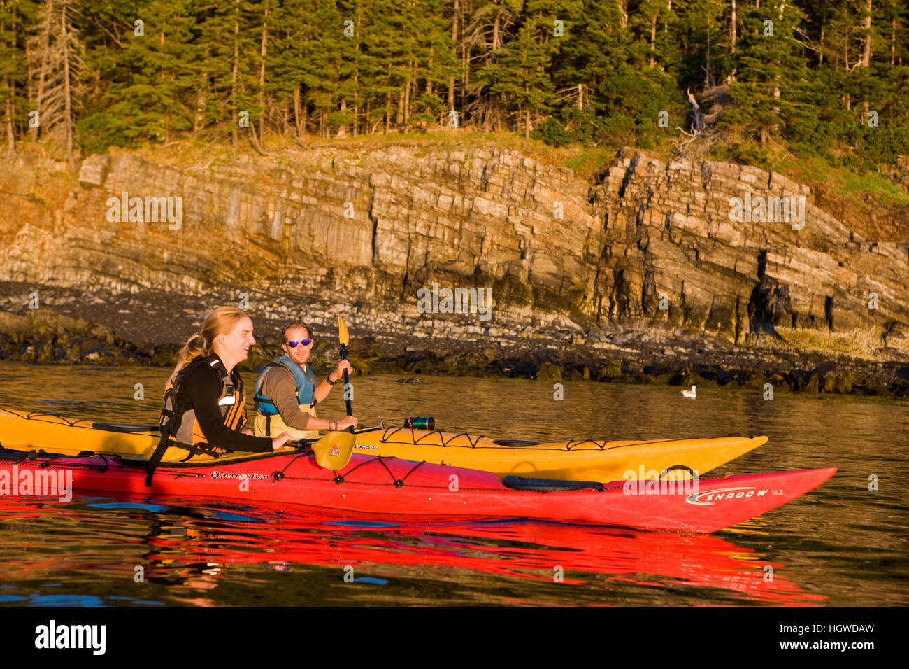 Ein Mann und eine Frau Kajakfahren in der Nähe von Schafen Stachelschwein Insel in Maine Acadia National Park.  Bar Harbor. Stockfoto