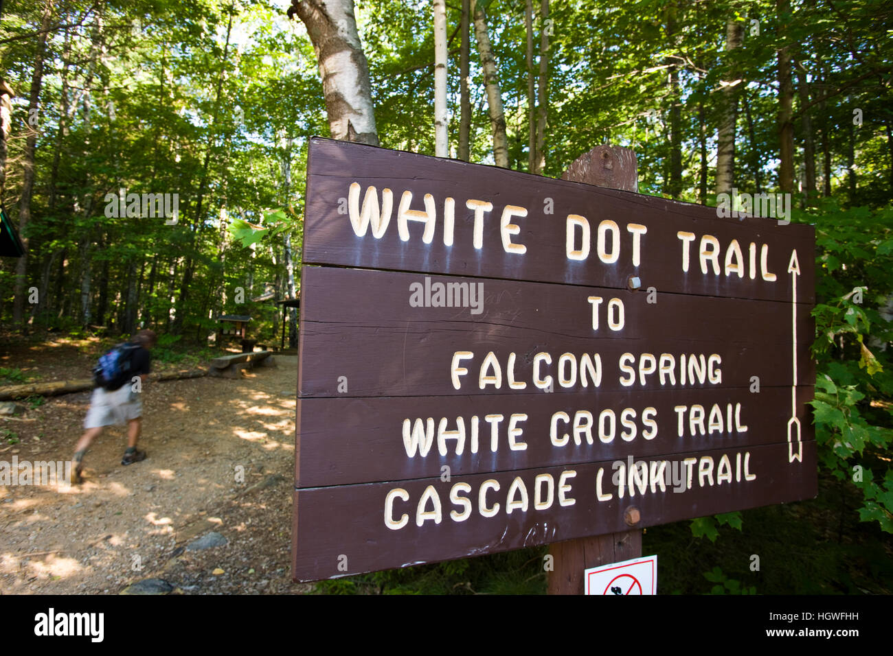 Der Beginn der White-Dot-Trail in New Hampshire Monadnock State Park. Stockfoto