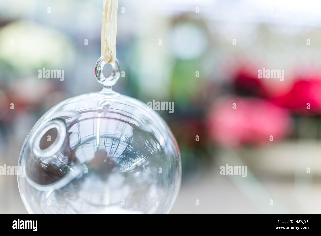 Hängende Glas Terrarium für Pflanzen closeup Stockfoto