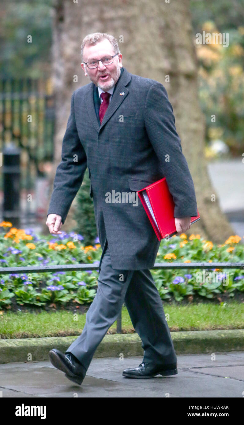 David Mundell, Staatssekretär für Schottland, Teilnahme an der wöchentlichen Kabinettssitzung in 10 Downing Street, London.  Mit: David Mundell Where: London, Vereinigtes Königreich bei: 13. Dezember 2016 Stockfoto
