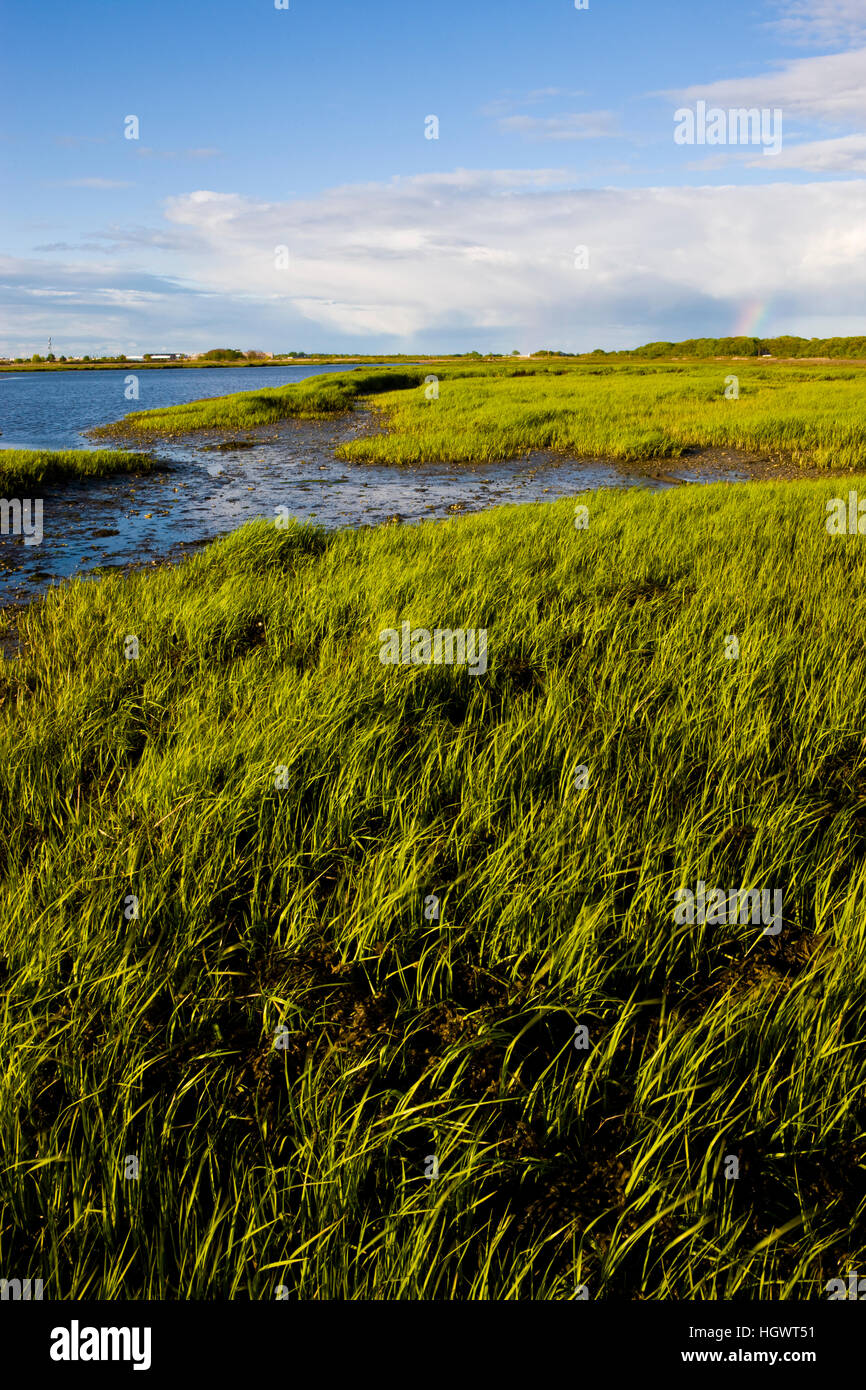 Der Salz-Sumpf-Seite von Long Beach in Stratford, Connecticut.  Dieses Gewässer ist bekannt als Lewis Gut und grenzt an die großen Wiesen Einheit von Mc Stockfoto