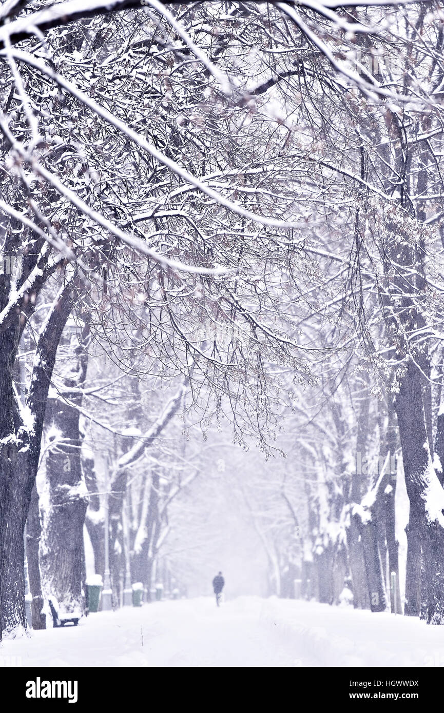 Menschen zu Fuß auf schneebedeckten Gehweg während eines Schneefalls Stockfoto