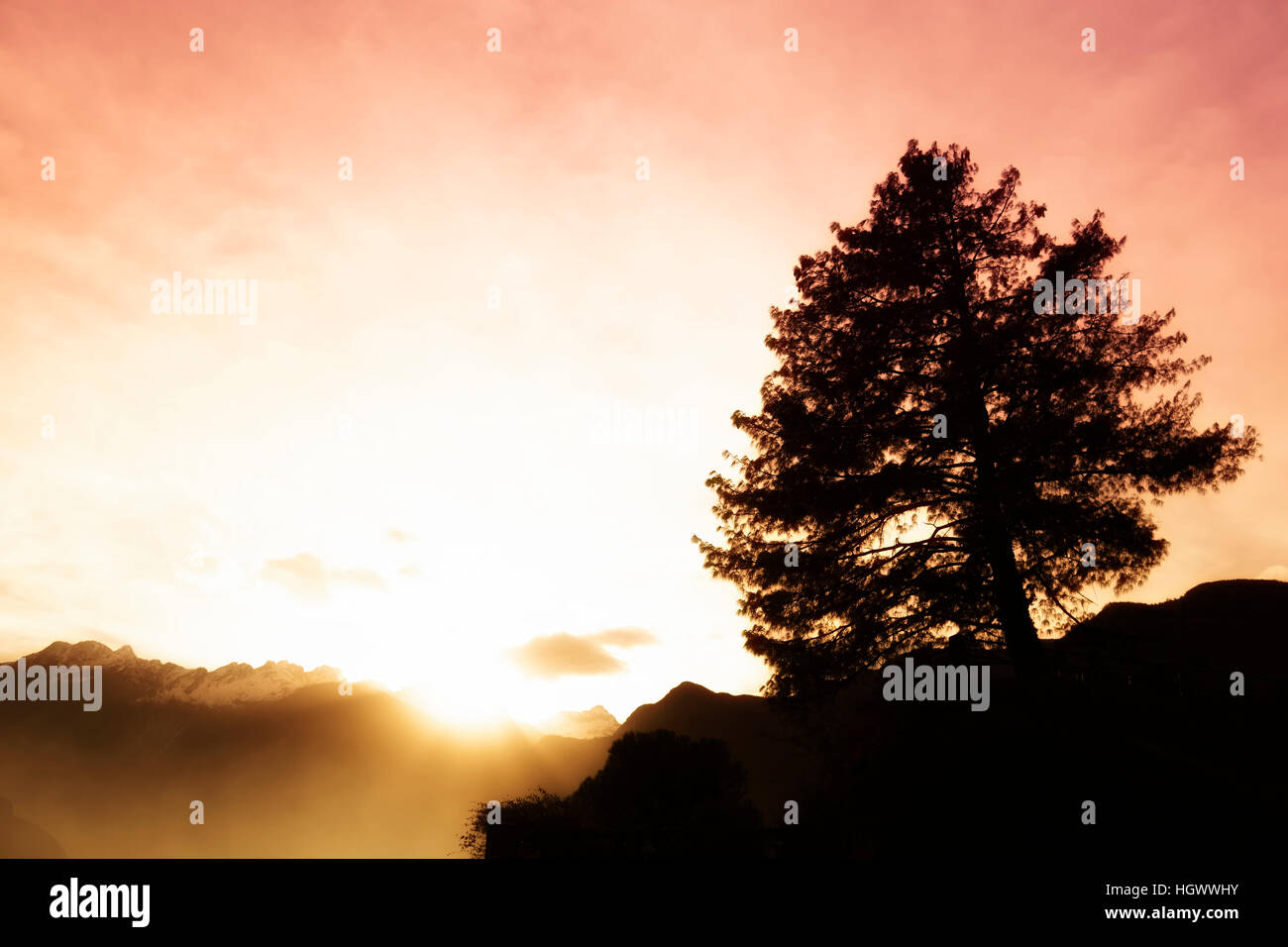 Berg-Sonnenuntergang mit Baum Silhouette verträumte Stil Stockfoto