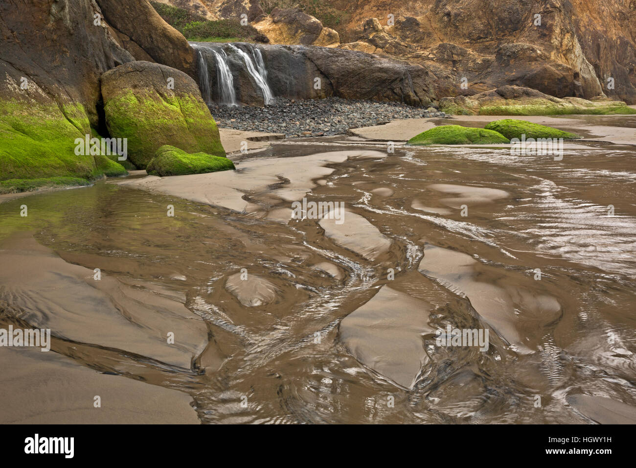 OR02320-00... OREGON - kleiner Wasserfall am Strand bei Hug Point State Park, südlich von Canon Beach. Stockfoto