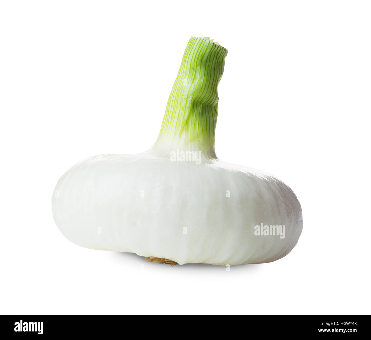 frische weiße Zwiebeln Salat isoliert auf weißem Hintergrund Stockfoto