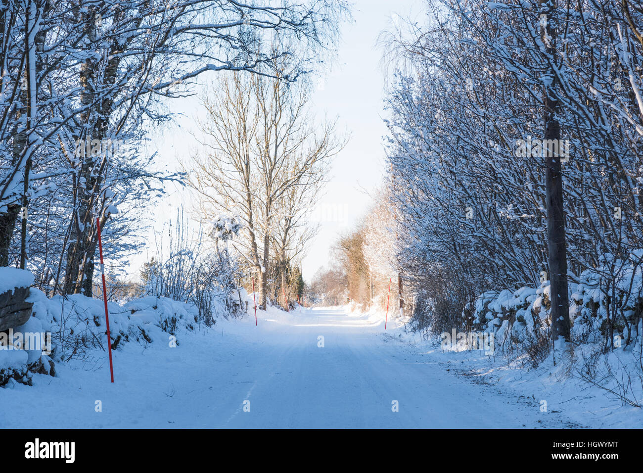 Landstraße durch o verschneite Winterlandschaft und umgeben von verschneiten Bäumen Stockfoto