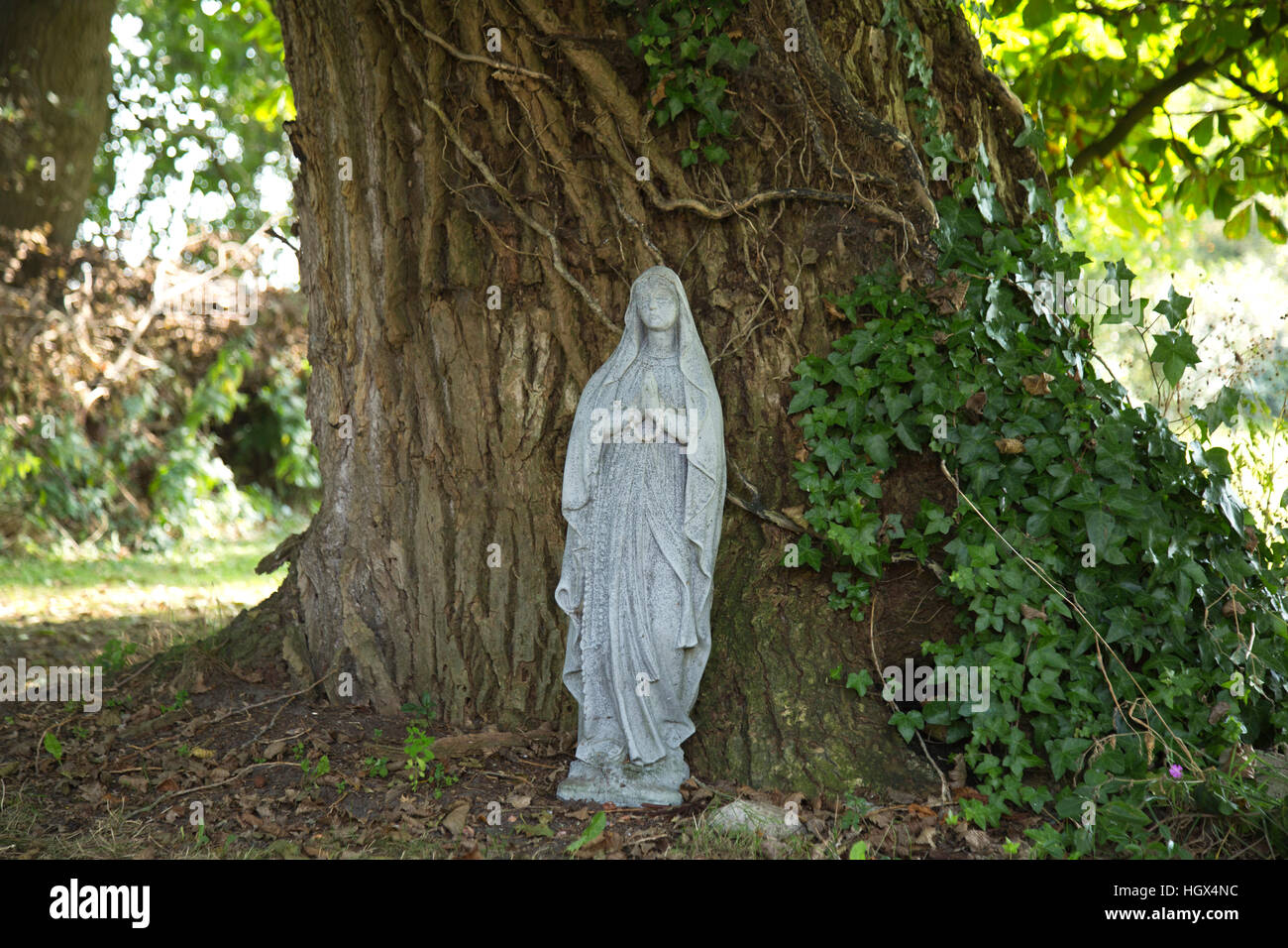 Nahaufnahme von Maria Statue am Fuße einer alten Eiche, Sommerlandschaft Stockfoto