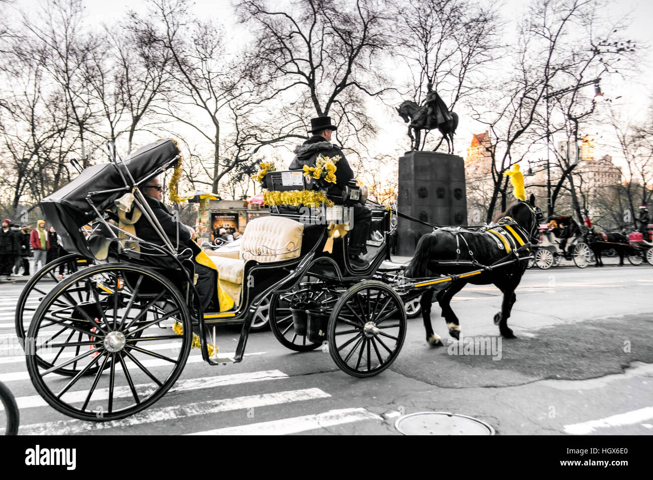 Elegant, Pferd, Wagen, gelbe Detail, New York, Central Park, Transport Stockfoto