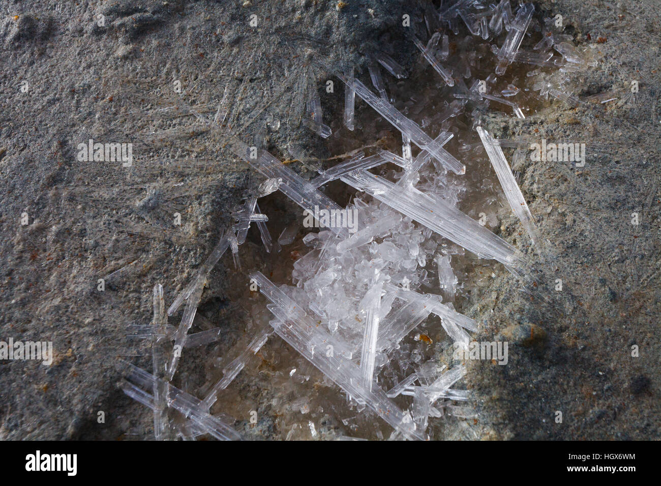 Salzkristalle auf dem Ufer von Tso Kar-See Region Ladakh, Jammu und Kaschmir, Indien Stockfoto