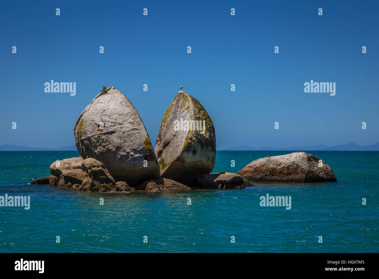 Split Apple Rock mit Möwe an der Spitze neben Kaiteriteri Beach, Abel Tasman Nationalpark, Neuseeland, Südinsel in Nahaufnahme Sommerfoto Stockfoto