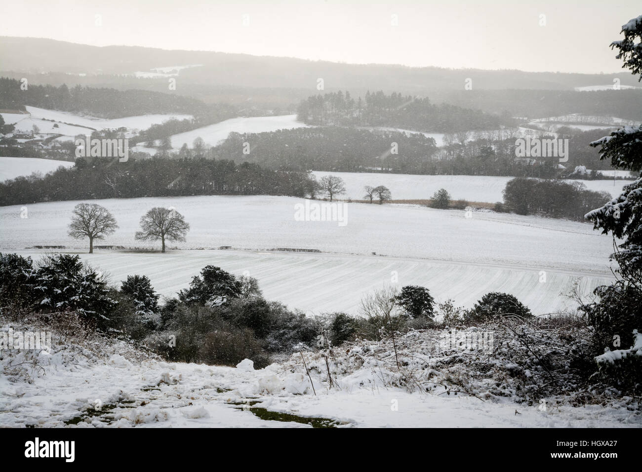 Verschneite Landschaft in Newlands Corner in der Surrey Hills Area of Outstanding Natural Beauty, Großbritannien Stockfoto