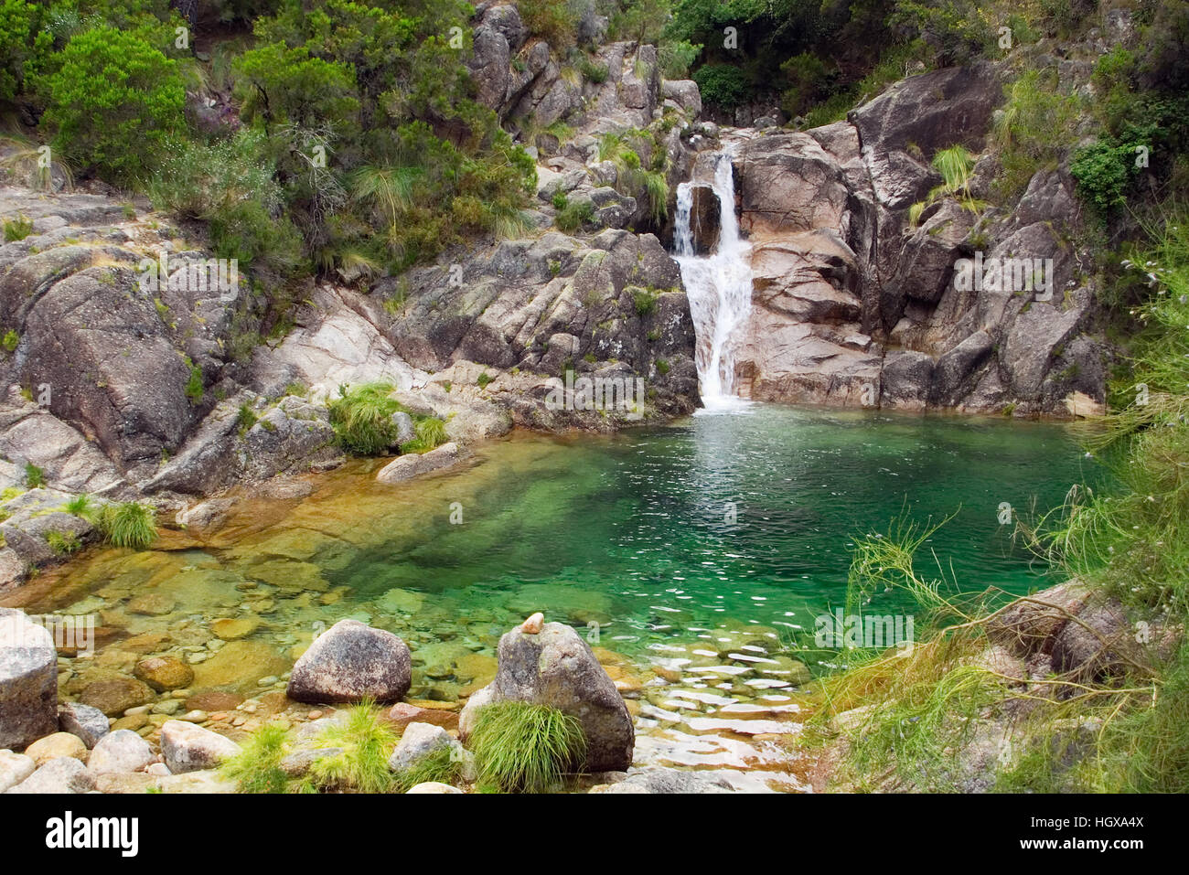Ein kleiner Wasserfall und grüne Lagune, die versteckt in den Bergen. Arado-Fluss, Nationalpark Peneda-Geres, Portugal. Stockfoto