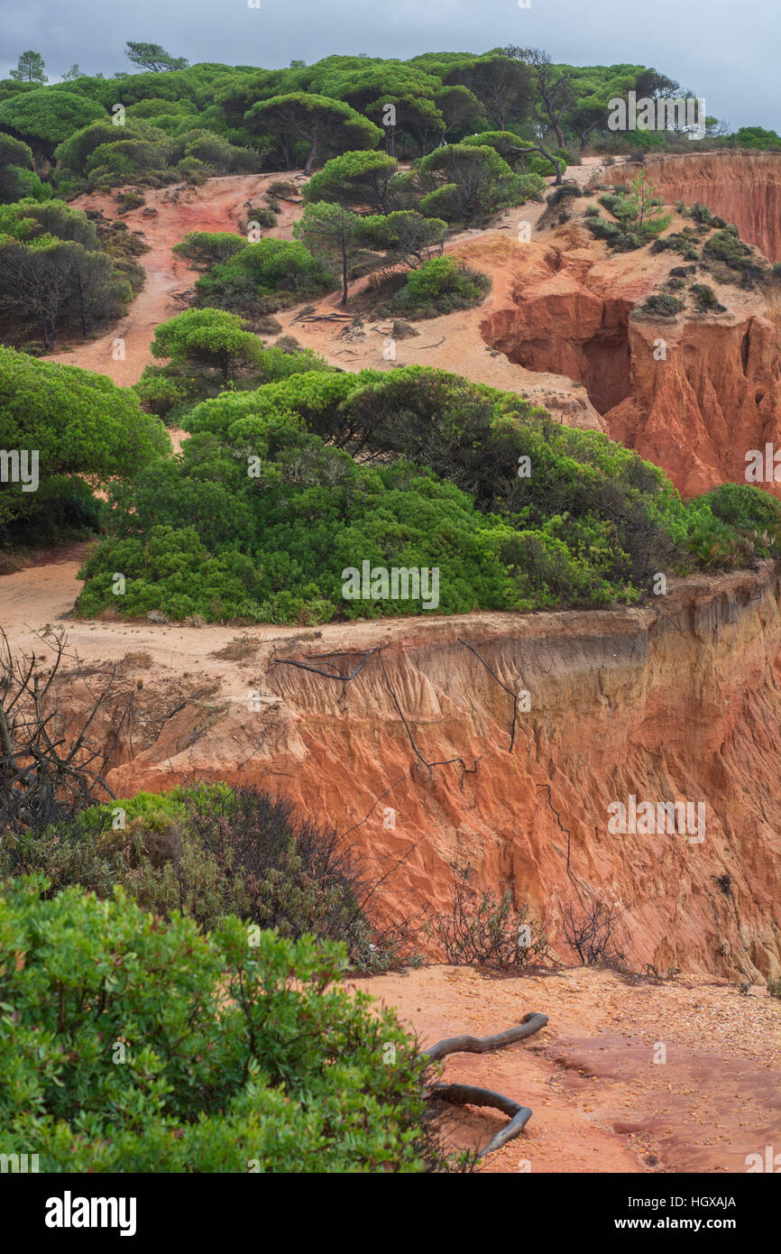 Sandsteinfelsen in der Nähe von Albufeira, Praia da Falesia, Albufeira, Algarve, Portugal Stockfoto