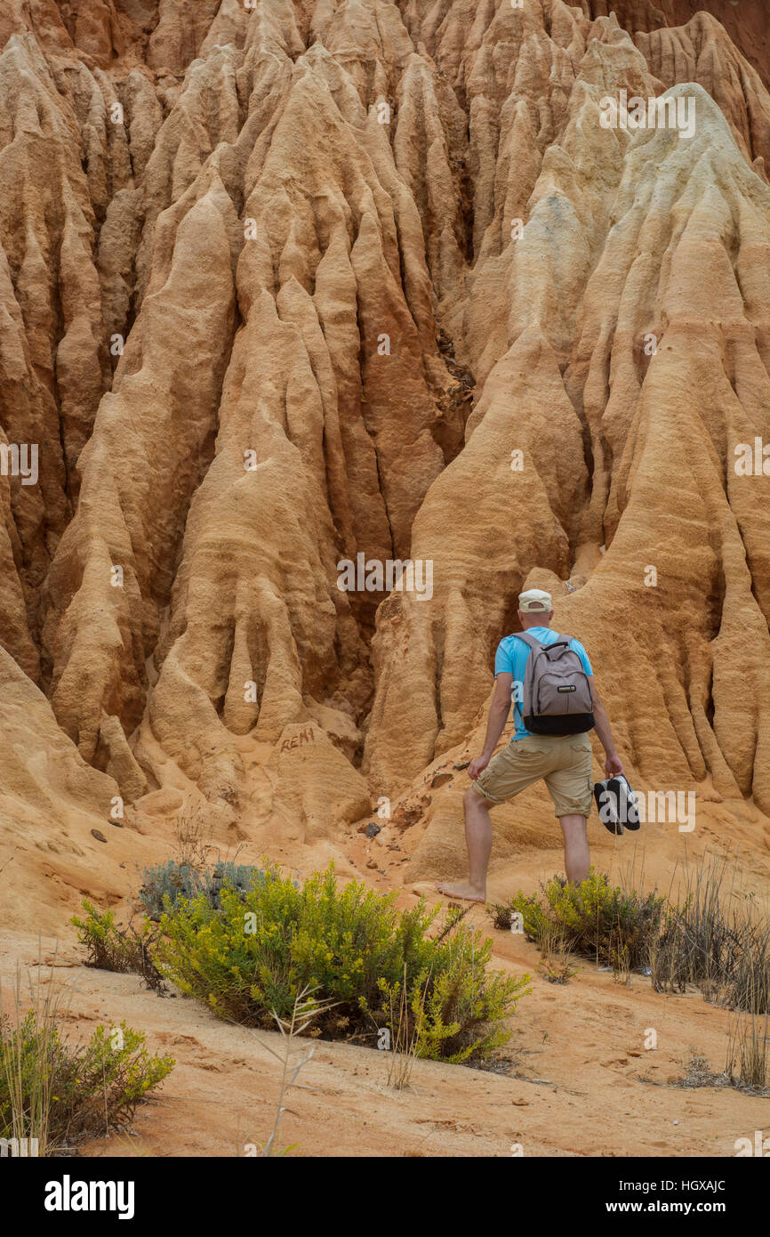 Sandsteinfelsen in der Nähe von Albufeira, Praia da Falesia, Albufeira, Algarve, Portugal Stockfoto