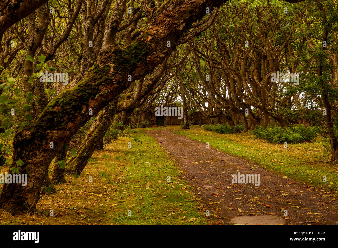 Schloss Mey, Mey, Scotland, UK Stockfoto