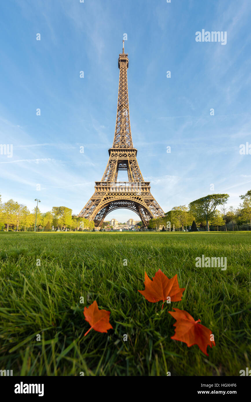 Sonnigen Morgen in Paris und Eiffelturm mit Ahornblatt in Paris, Frankreich. Stockfoto