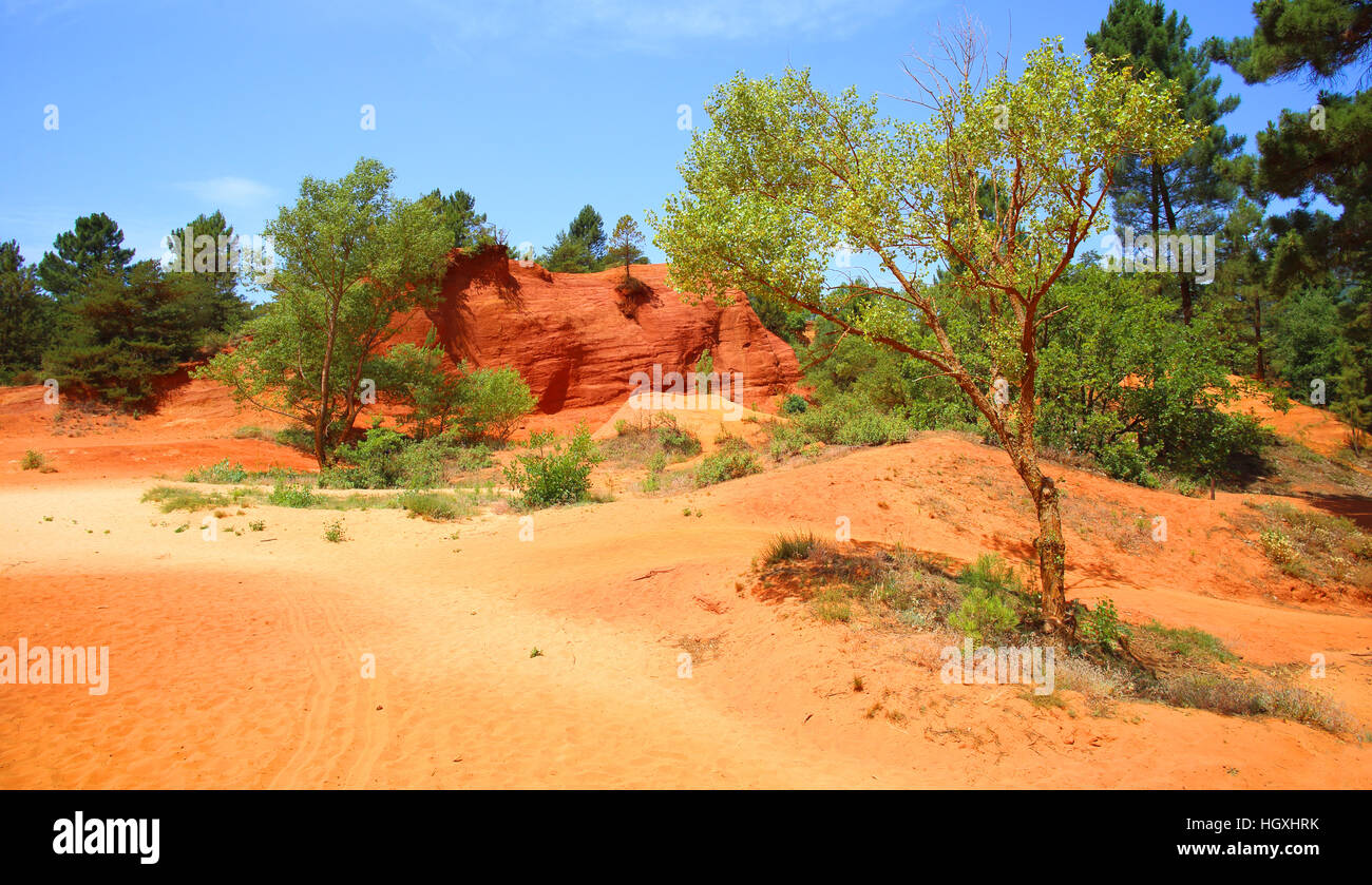 Ockerfarbenen Klippen in Rustrel in Rustrel, Colorado Provencal, Provence, Frankreich Stockfoto