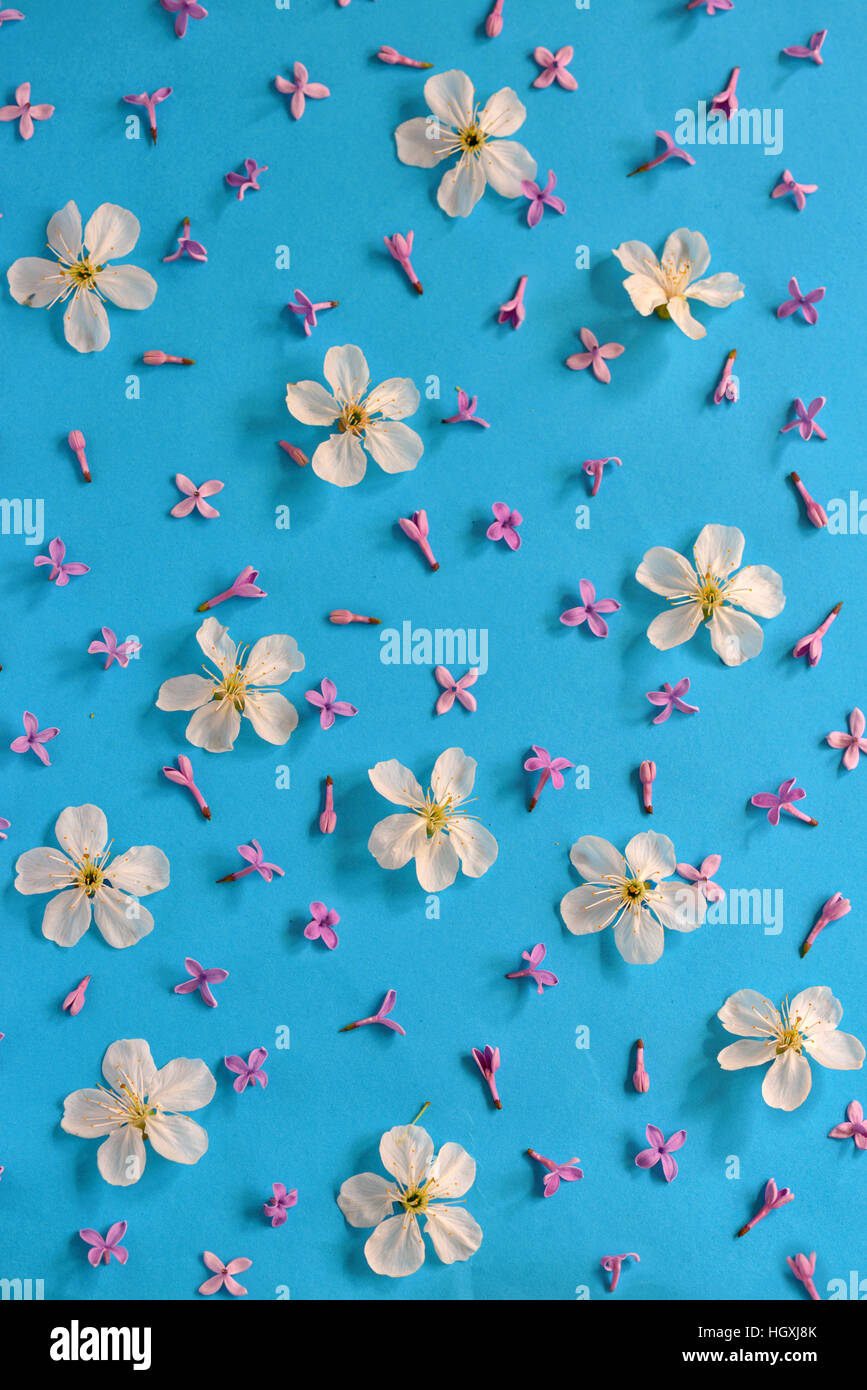 Frühlingsblumen auf Papierhintergrund Stockfoto