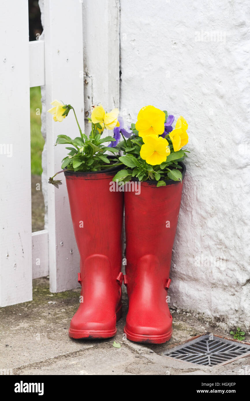 Farbenfrohe Gummistiefel gefüllt mit Blumen schmücken Häuser, Tore und Türen von der irischen Küste Dorf Courtmacsherry im County Cork. Stockfoto